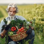 Агрофлорин: ферментный биопрепарат и почвенный пробиотик для здорового роста растений